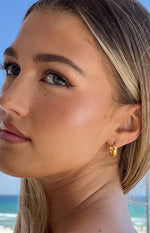 Stardust Gold Hoop Earrings (FREE over $180) Image